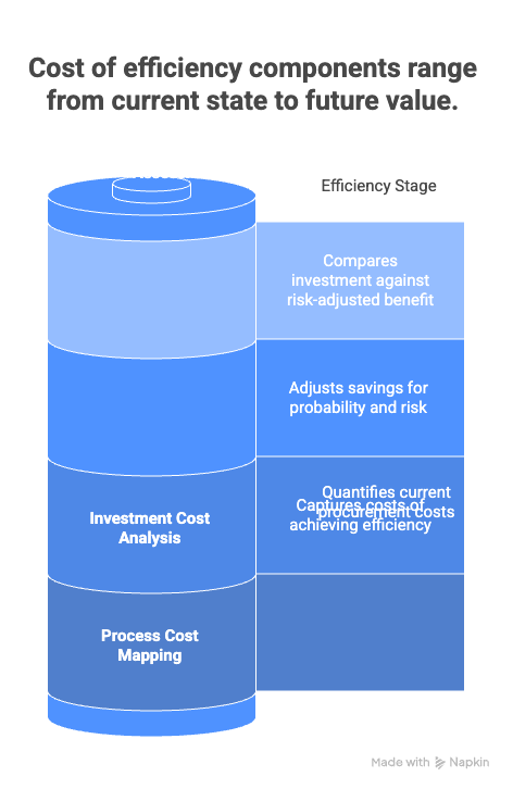 Cost of Efficiency