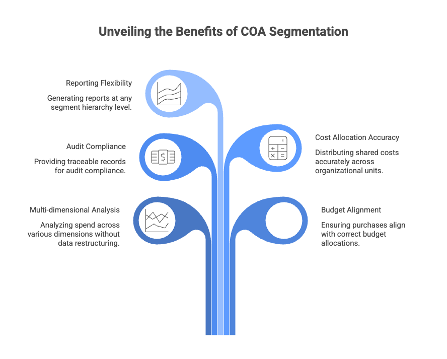 Charts of Accounts (COA) Segment