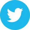 twitter-icon