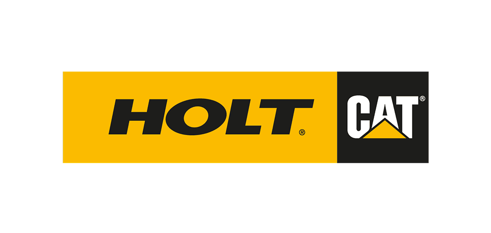 holt cat