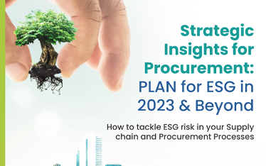 Strategic Insights