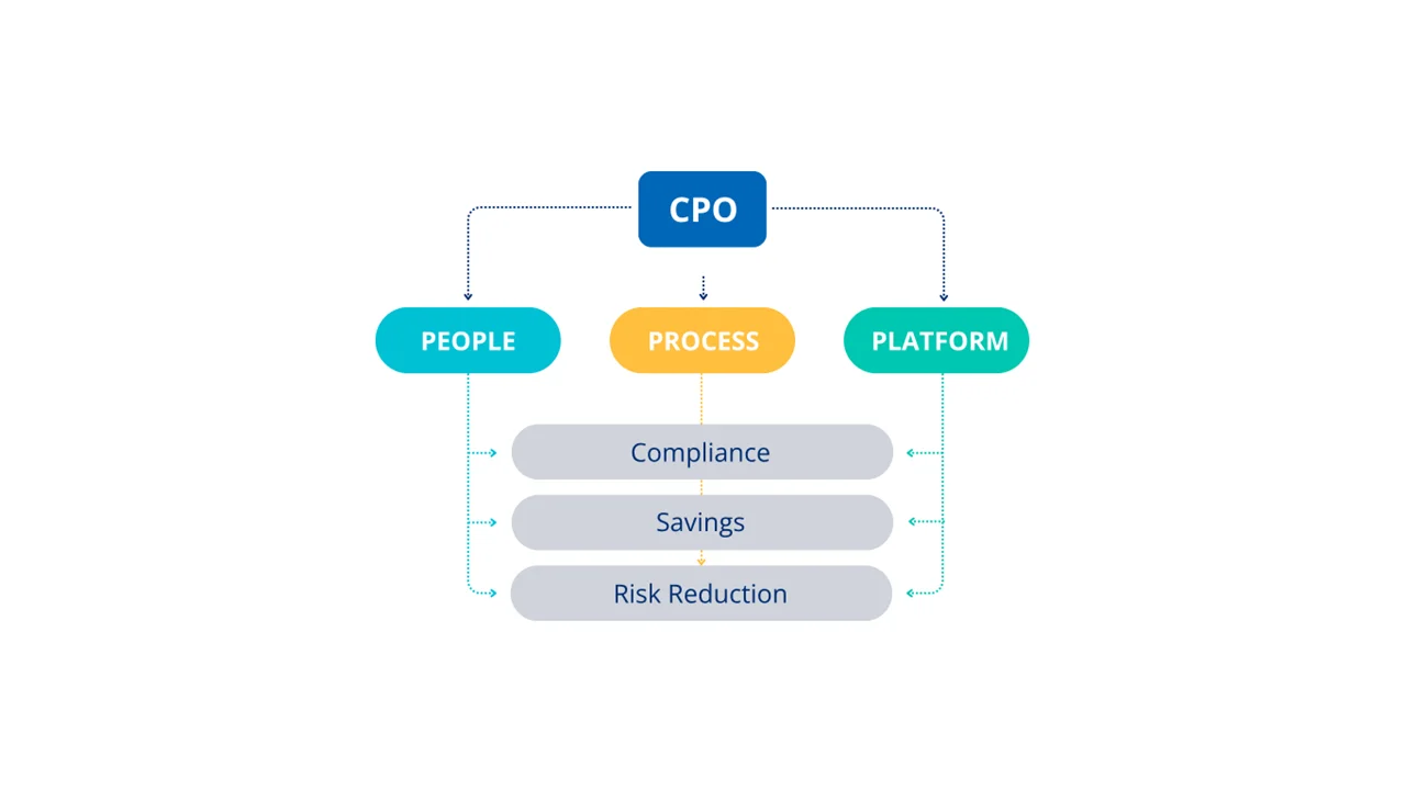 procurement transformation Belgium
